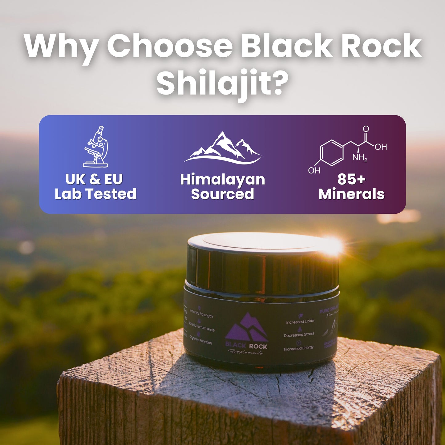 Shilajit Resin