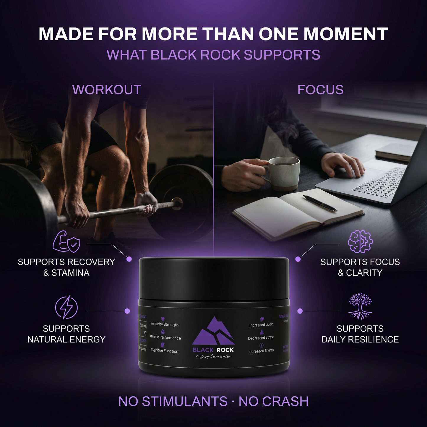 The Pure Shilajit Protocol