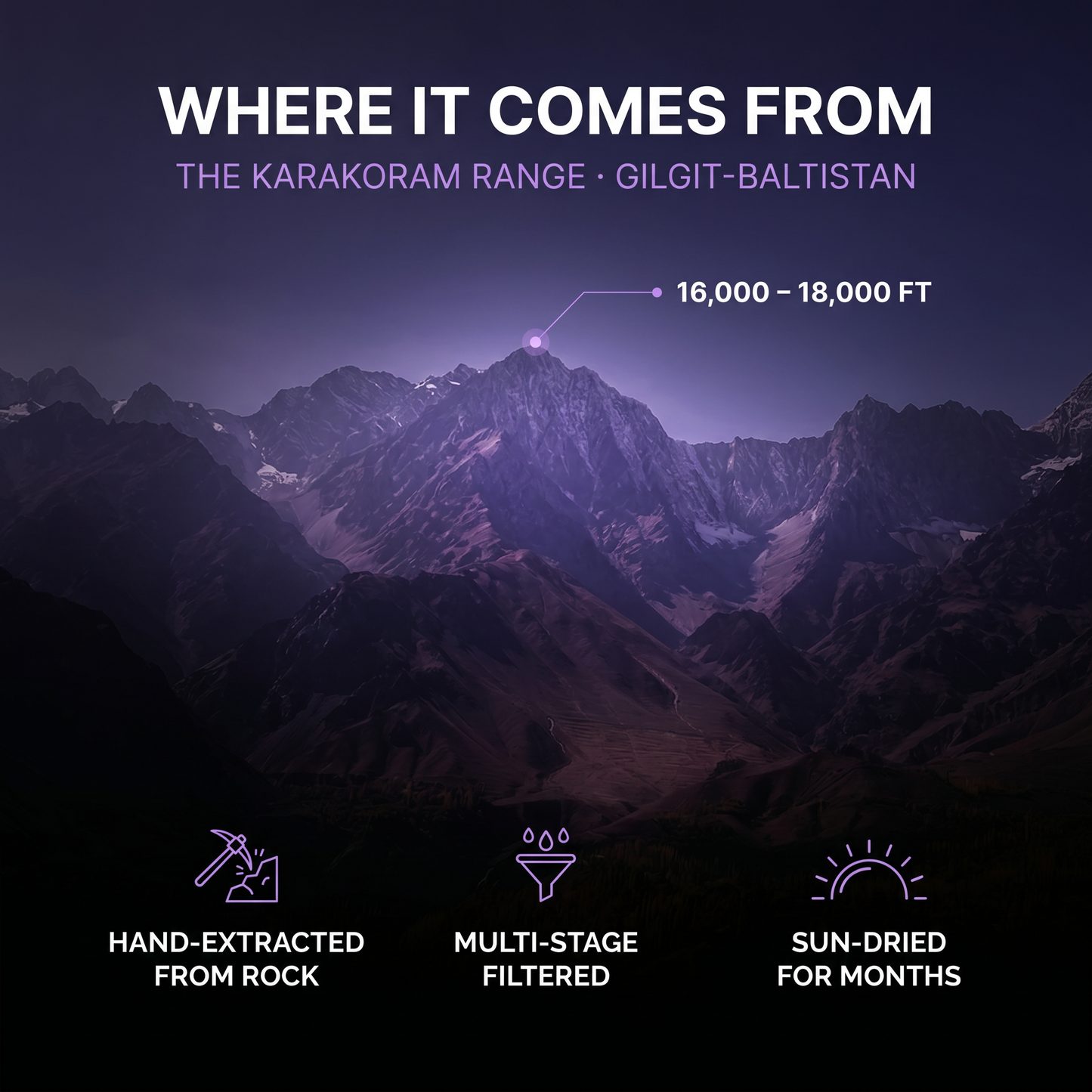 The Pure Shilajit Protocol