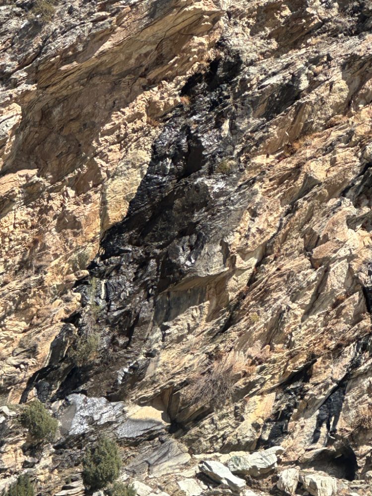 Shilajit resin seeping from fissures in the Karakoram rock face