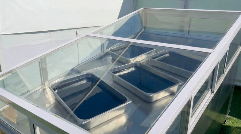 Shilajit resin drying in open sunlight in steel trays